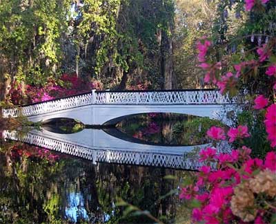 Bridge at Magnolia Plantation Gardens